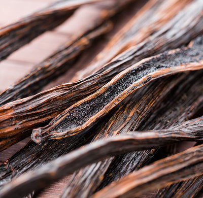 Vanilla Fragrance